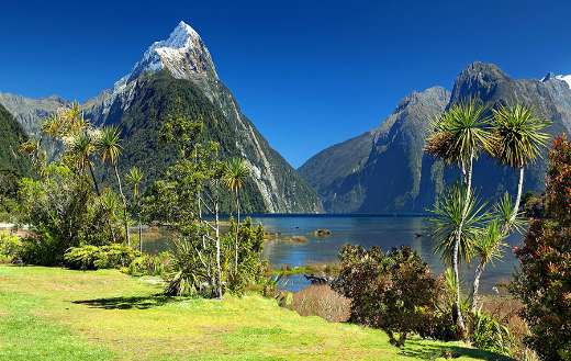 Milford sound nature
