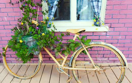 Bike decorated old planted green