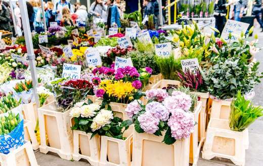Assorted flowers with brown wooden rack
