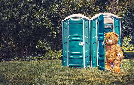 Bear using porta potty online