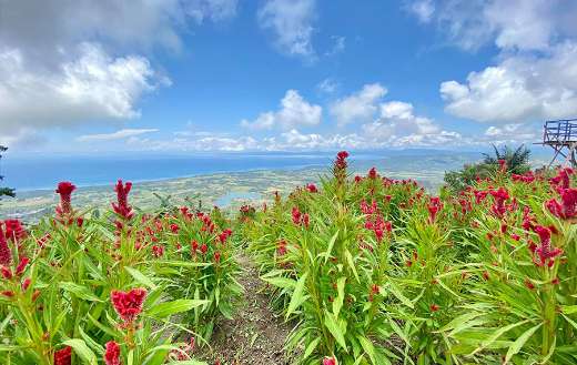 Beautiful up hill view