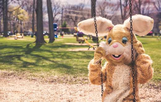 Bunny costume online