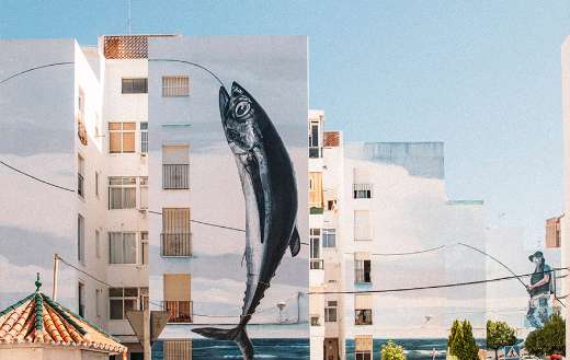 Fish picture building puzzle