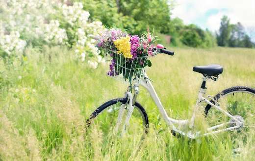 Meadow grass flowers bicycle puzzle