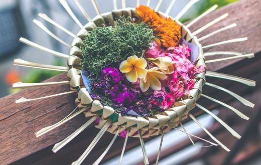 Poetry flowers in urdu puzzle