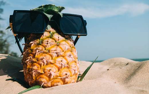 Torrid zone fruit pineapple