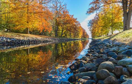 Autumn picture online