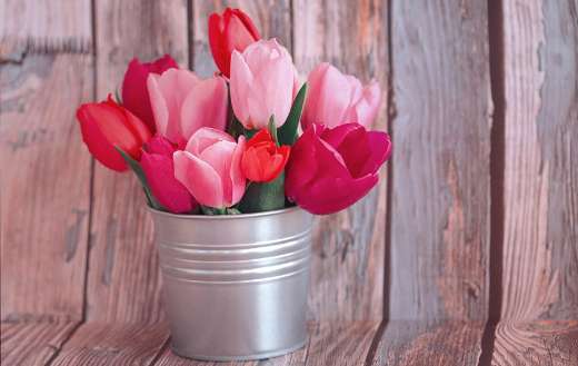 Bunch of red tulips puzzle