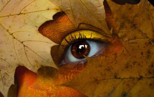Eye photography with leaves