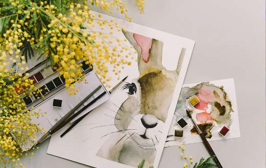 Sensitive plant mimosa puzzle