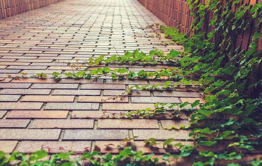 The first step in scientific research