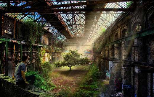 Tree old building online