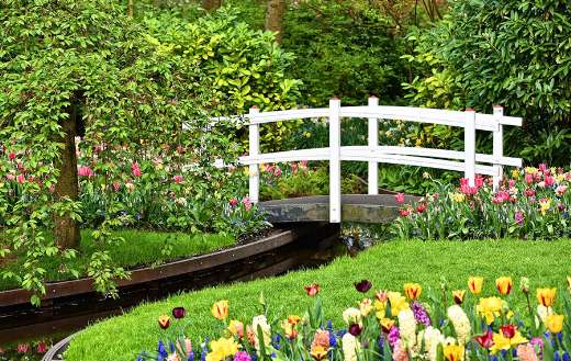 White wooden bridge garden