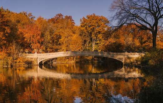 Landscape in New York