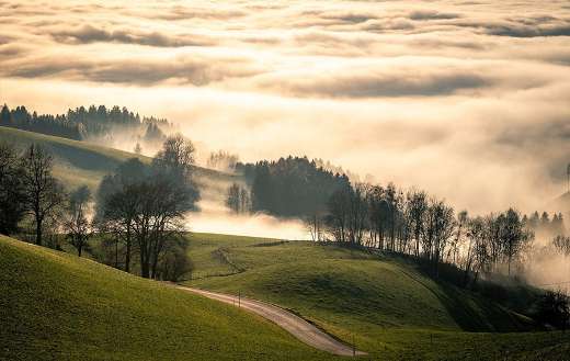 Early morning view with mist
