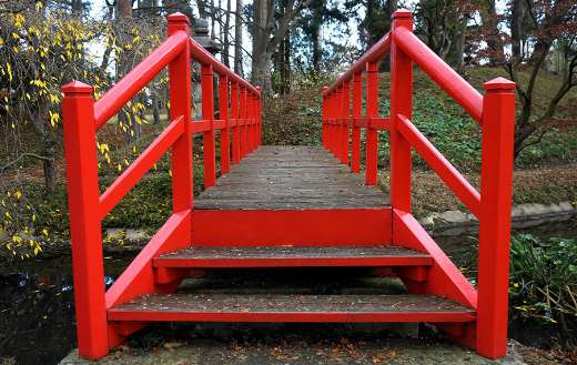 Park bridge walkway wooden path outdoor