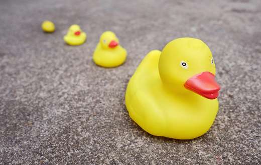 Rubber ducklings toys