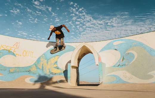 Skate boarder online