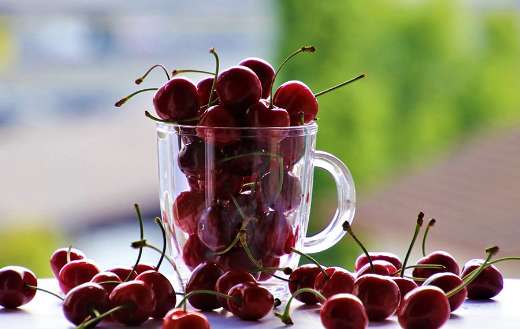 Cup with cherries fruit online