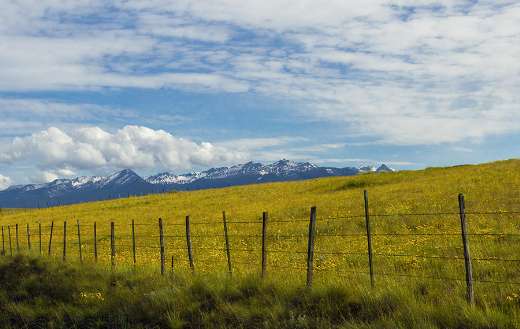 Meadow prairie fence puzzle