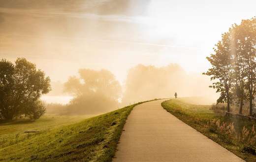 The clapholtal guard online