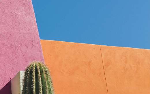 What a colorful walls