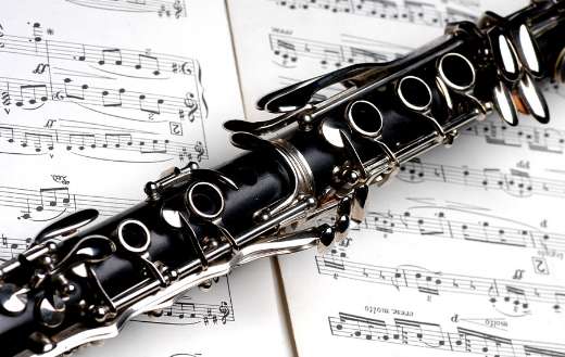 Clarinet instrument puzzle