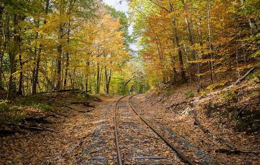 Fall leaves train tracks puzzle