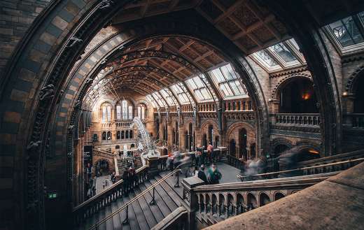 Natural history museum London online