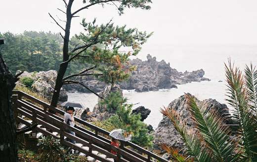 Natural landscape online