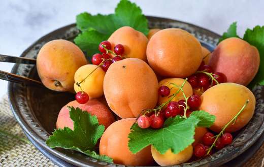 Apricots red currants fruits puzzle