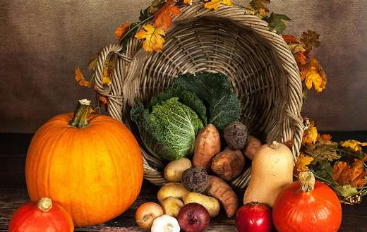 Autumn vegetables pumpkin