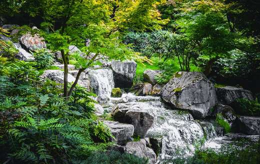 Flowing water on the river puzzle