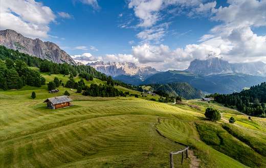 Green grass field and trees under blue sky puzzle