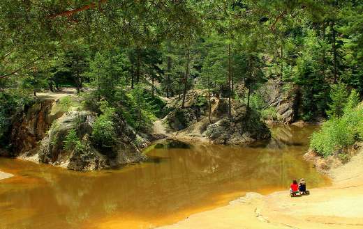 Lake trees forest nature summer travel puzzle