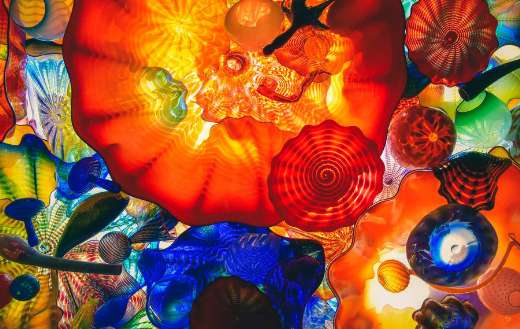 Smooth round colorful shapes with wavy edges