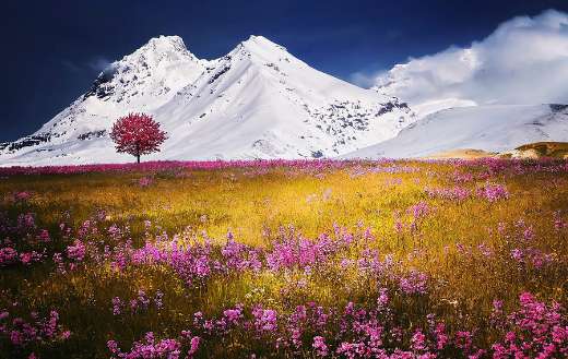 mountains alps meadow puzzle