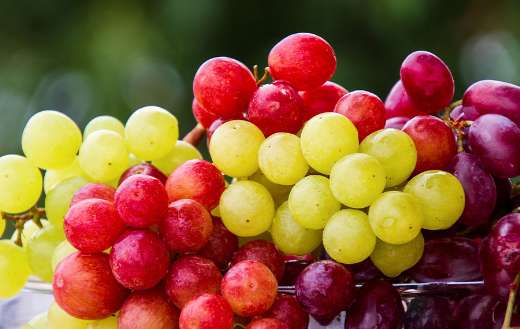 Fresh grapes fruit puzzle