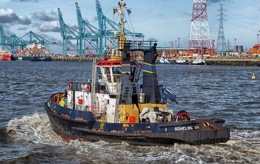 Bay harbor port online