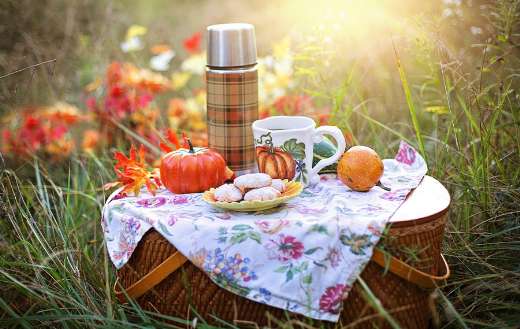 Fall tea time picnic puzzle