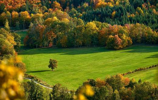 Field with autumn mood color