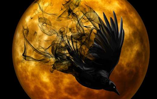 Gruesome darkness crow night