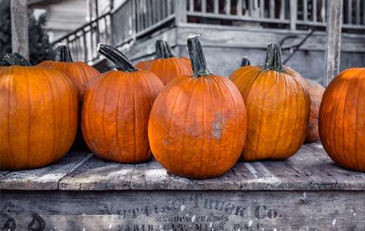 Hallo halloween pumpkin online