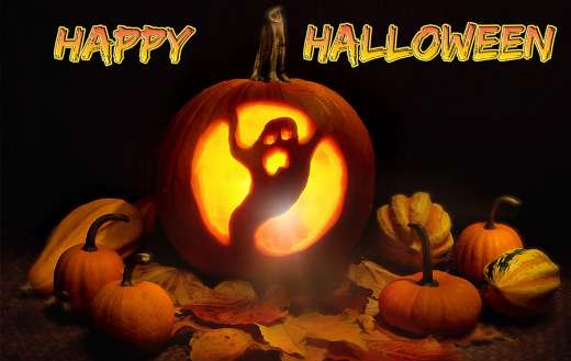 Lit pumpkin autumn holiday halloween