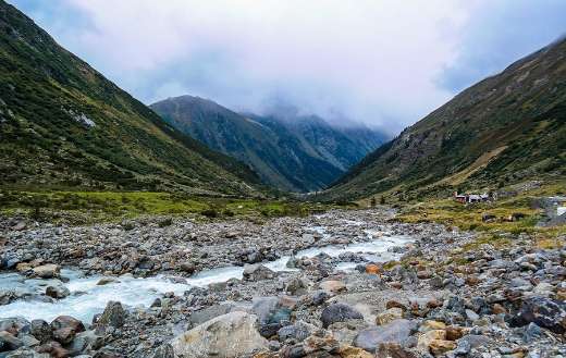 Mountain stream Alpine