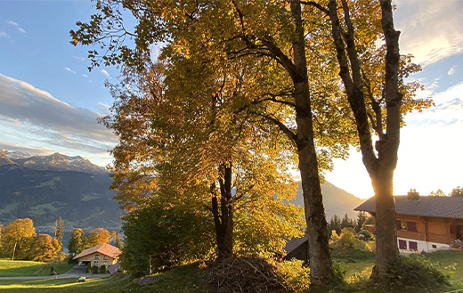 Swiss-village-jigsaw