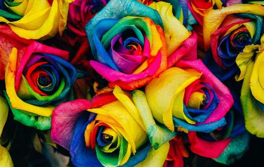 Artificial colorful roses puzzle