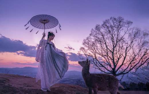 Asian japanese model puzzle