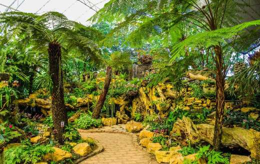 Assorted green plants tress