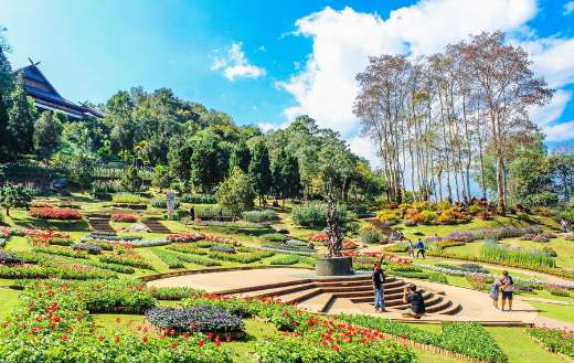 Beautiful park online